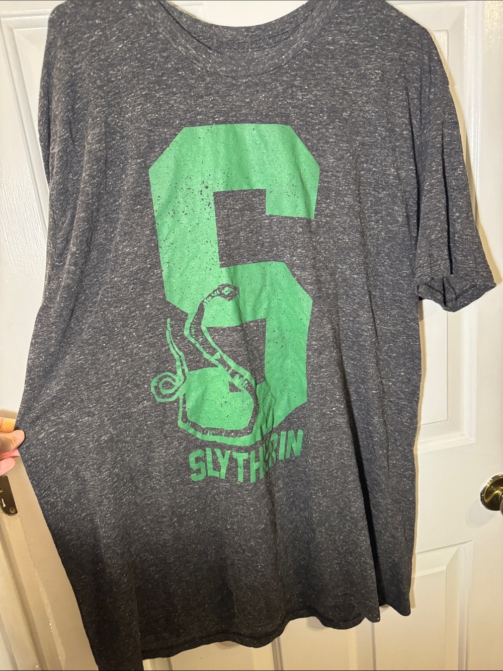Harry Potter Slytherin Graphic Tee in Gray and Green